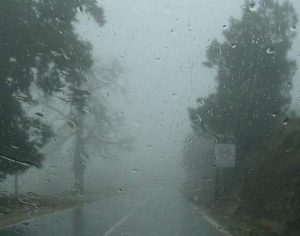 Granizo e vendaval afetam 4.804 pessoas no Paraná