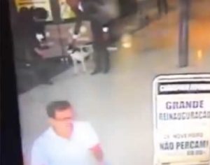 Câmera registra momento em que cachorro é agredido no Carrefour