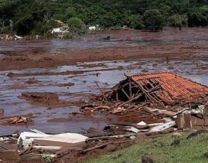 ‘Não basta multar, tem que botar na cadeia’, diz especialista em direito ambiental
