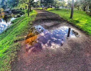 Fotógrafo transformou uma poça d’água no Lago Igapó em obra de arte