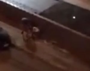 Homem que agrediu a esposa no meio da rua em Londrina é solto