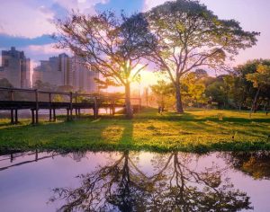 Que pintura! Um fantástico registro do Lago Igapó em Londrina