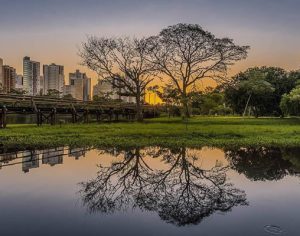 Belíssimo fim de tarde no Lago Igapó em Londrina