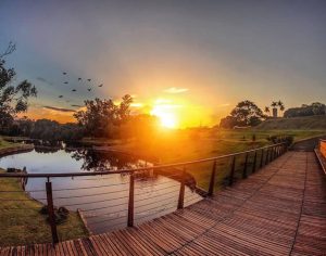 Um lindo pôr do sol no Jardim Botânico de Londrina