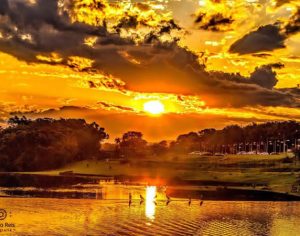 Confira esse incrível pôr do sol no Jardim Botânico de Londrina