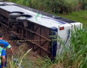 Motorista de ônibus é morto em assalto na PR-444 no norte do Paraná