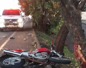 Motociclista morre ao bater contra árvore na Zona Norte de Londrina