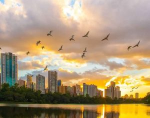 Sensacional imagem do nosso querido Lago Igapó