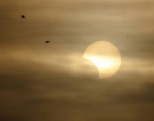 Londrinenses registram o eclipse solar desta terça-feira; confira
