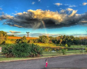 Bela imagem do Jardim Botânico de Londrina