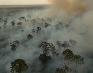 Governo brasileiro rejeita ajuda de R$ 83 milhões do G7 para a Amazônia