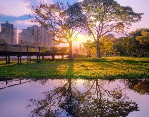 Uma belíssima imagem de Londrina