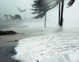 Fotógrafo registra ‘golfinho voador’ durante passagem de furacão