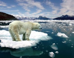 ONU prevê oceanos com temperaturas mais altas e menos oxigênio