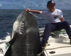 Criança pesca tubarão-tigre de 314kg e foto viraliza na internet