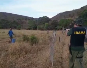 Fazendeiro é flagrado pelo Ibama ateando fogo na Chapada dos Veadeiros