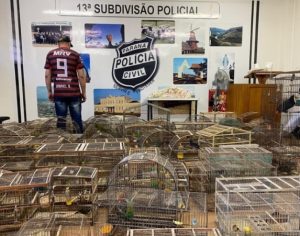 Homem é preso com mais de 200 pássaros silvestres no Paraná
