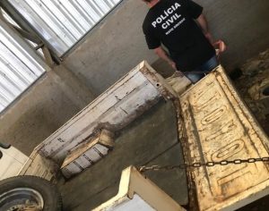 Polícia encontra fazenda onde onças-pintadas foram filmadas mortas em caminhonete