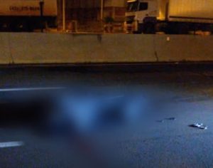 Homem morre atropelado na PR-445 entre Londrina e Cambé