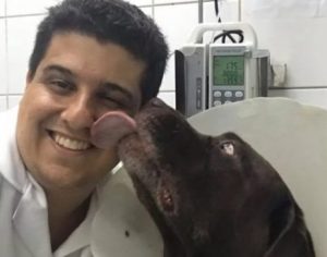 Veterinário congelava animais mortos para continuar cobrando por internação