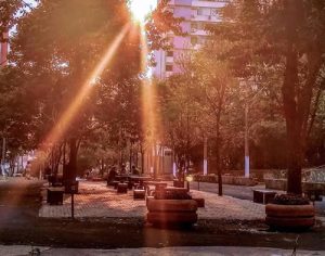 Uma luz paira sobre o Bosque de Londrina; veja o registro