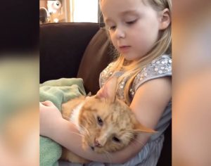 Menina canta pela última vez antes de seu gatinho de 14 anos morrer; assista