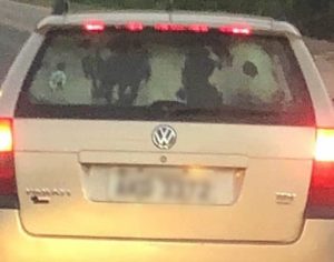 Vaca é flagrada sendo transportada no porta-malas de carro no Paraná