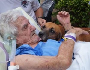 Idoso internado se emociona ao receber visita do seu cachorro no hospital