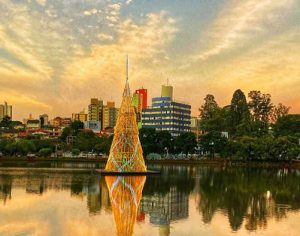 Igapó, céu e árvore: uma combinação incrível no fim de tarde em Londrina