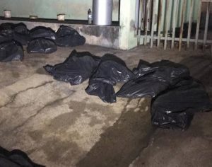 Veículo que transportava cães quebra e 25 animais morrem sufocados em Londrina