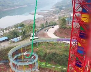 Porco é jogado de bungee jump a 70 metros de altura e gera revolta; assista