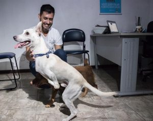 Tintim, cachorrinho com deficiência abandonado duas vezes, é adotado por casal