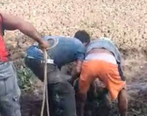 Idoso fica dois dias atolado em lamaçal e é resgatado quase sem vida no PR; assista