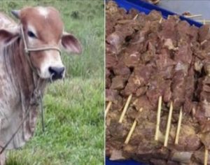 Boi de estimação vira churrasco e caso vai parar na delegacia
