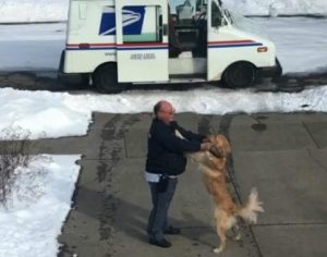 Cachorro espera carteiro todos os dias para receber abraço; veja vídeo