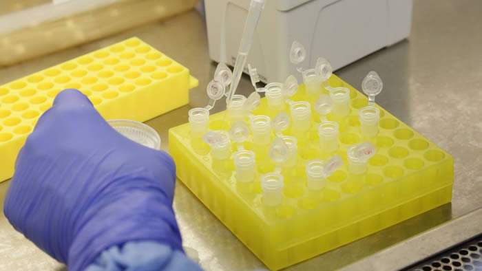 Medicamento cubano usado tratamento coronavírus