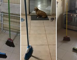 Teste da vassoura em pé viraliza nas redes sociais; entenda