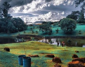 Incrível: Jardim Botânico de Londrina