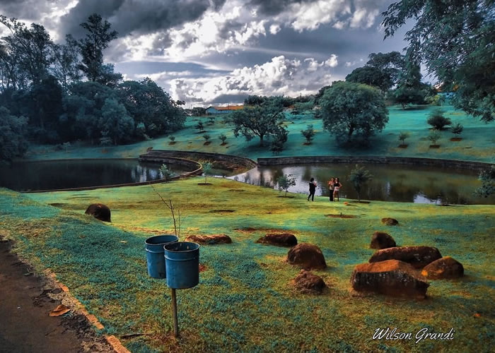 Foto do Jardim Botânico de Londrina Wilson Grandi