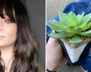 Jovem descobre que cuidou de planta de plástico durante dois anos