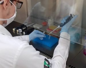 Hospital Universitário da UEL realiza testes Padrão Ouro para covid-19