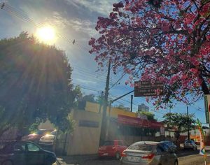 Um lindo dia iluminado em Londrina