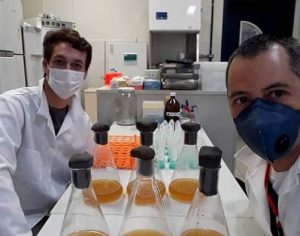 Universidade do PR cria teste rápido que detecta covid ao custo de R$ 10