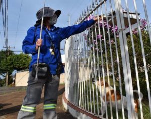 Copel alerta sobre cuidados com cães para evitar acidentes na hora da leitura