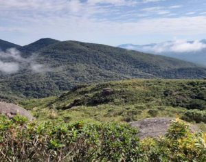 Parques estaduais voltam a abrir neste sábado no Paraná
