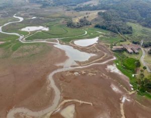 Estiagem no Paraná pode perdurar até fevereiro de 2021