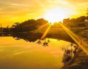 Incrível: um dia ensolarado no Jardim Botânico de Londrina