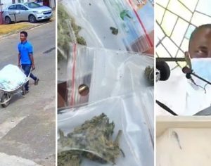 Delivery de maconha, torre de caixão… relembre 10 vídeos que bombaram em 2020
