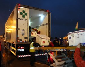 Primeiras doses de vacina contra a covid-19 chegam ao Paraná