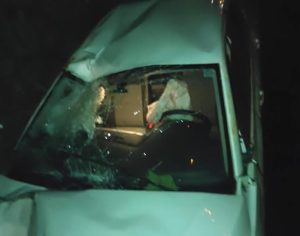 Motociclista morre em acidente na PR-090 na região de Londrina